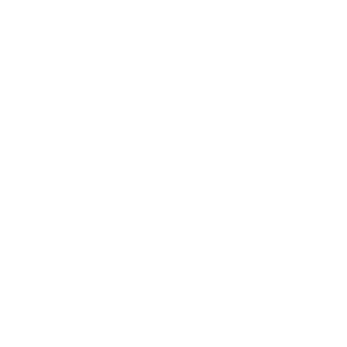 cssIcon